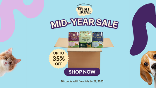 Superfoods for Super Pets: How Wishbone’s Nutrient-Rich Recipes Benefit Your Pet