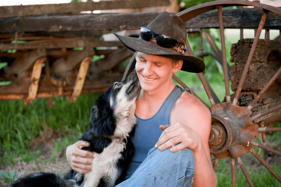 First-ever locally-sourced pet food for working dogs is made with farmers, for farmers