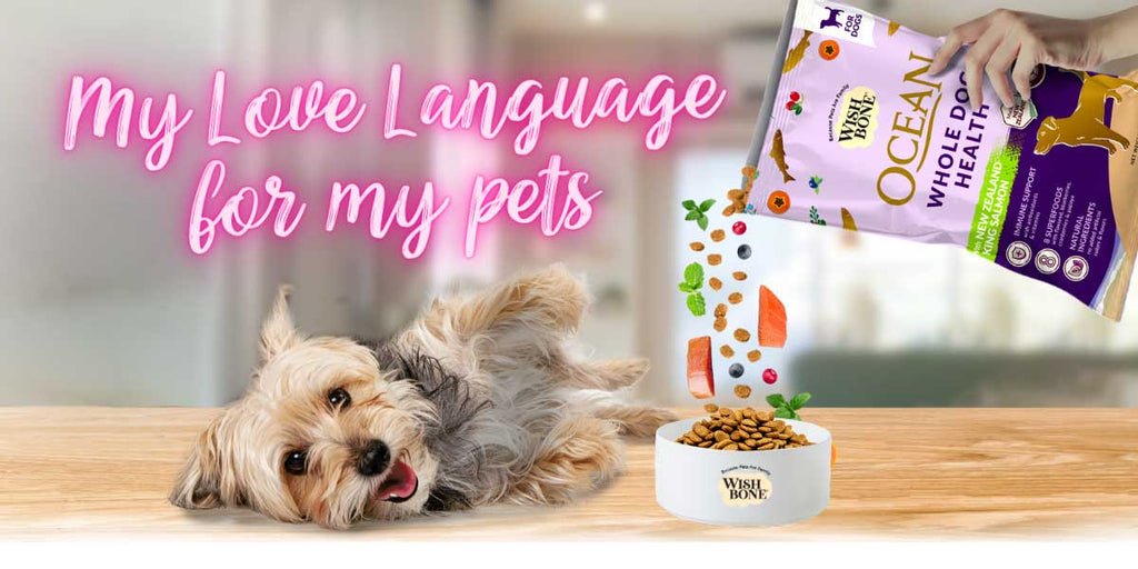 My Love Language For My Pets: Gift-Giving - Expressing Love to Our Fur Babies