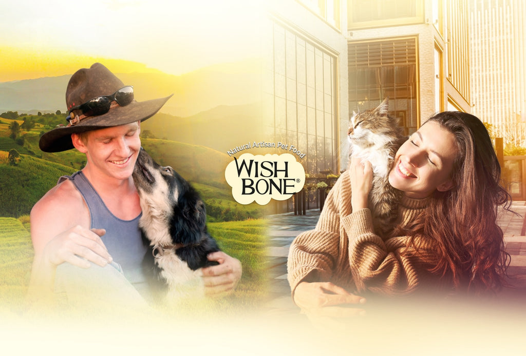 Promotion: Get a FREE Wishbone Gold Cap and a chance to win an extra bag of Wishbone Gold - Wishbone Pet Foods