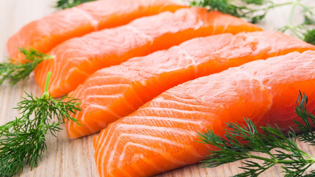 The Taste of Sustainability: New Zealand's King Salmon - Wishbone Pet Foods