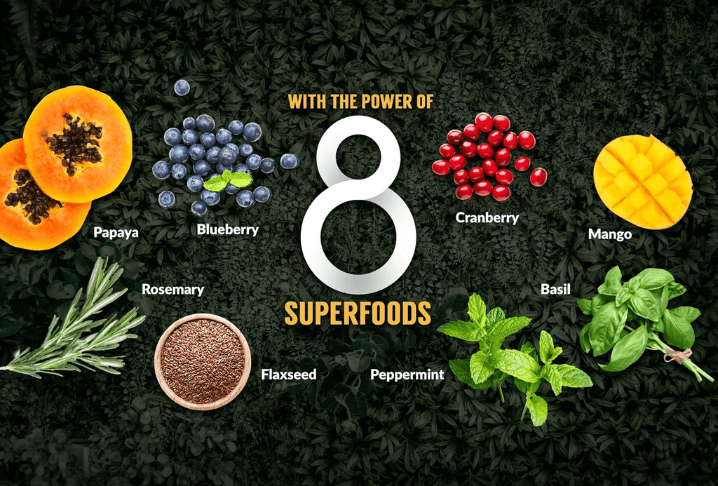 What are the 8 Superfoods and why do dogs need them - Wishbone Pet Foods