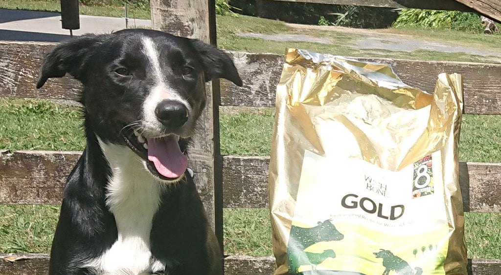 Wishbone Stories: A glimpse into farmers and their working dogs’ lives - Wishbone Pet Foods