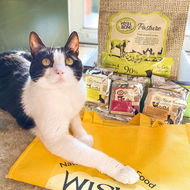 Wishbone Classic Wishbone Pet Food NZ