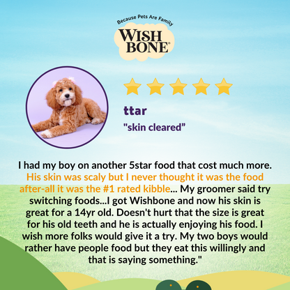 [Dog Starter Kit] Wishbone Ocean for Dogs - New Zealand King Salmon 500g