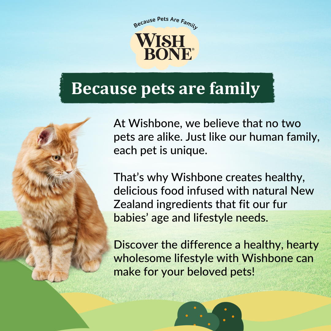 Wishbone Pasture for Cats - New Zealand Lamb 1.8kg, 4.5kg