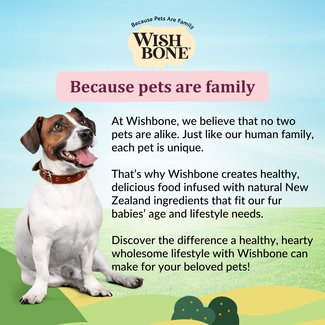 Wishbone Graze for Dogs - New Zealand Beef and Lamb 1.8kg, 9kg