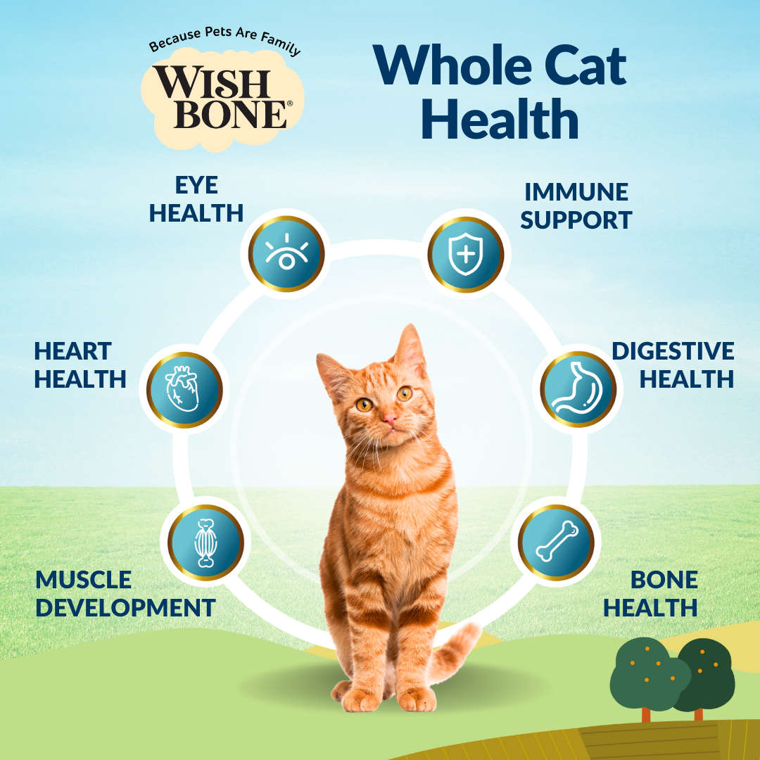 [Cat Super Feed Bundle] Wishbone Dry Cat Food + Freeze-Dried Raw Topper