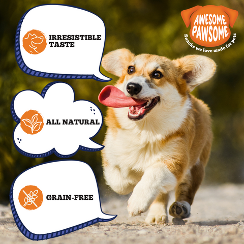 [Bundle of 6] Awesome Pawsome All Natural Dog Treats