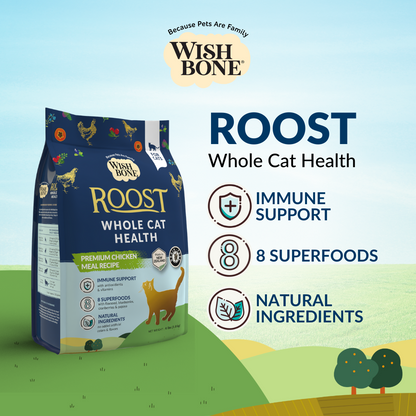 [Cat Super Feed Bundle] Wishbone Dry Cat Food + Freeze-Dried Raw Topper