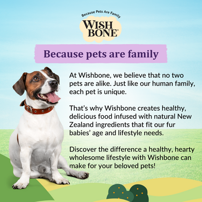 [Dog Starter Kit] Wishbone Ocean for Dogs - New Zealand King Salmon 500g