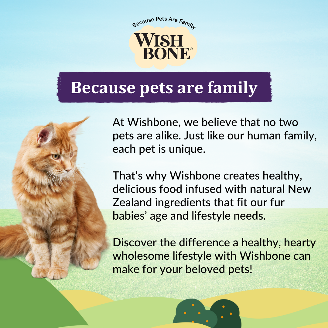 Wishbone Ocean for Cats - New Zealand King Salmon - 1.8kg, 4.5kg