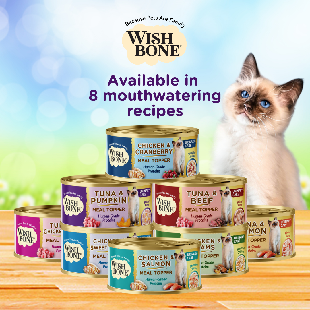 [Bundle of 12] Wishbone Tuna Lovers Variety Pack - Cat Urinary Care Topper in Cans 85g