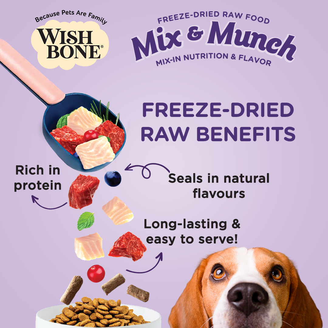 Wishbone Beef & Ocean Fish Freeze-Dried Raw Topper for Dogs - 350g