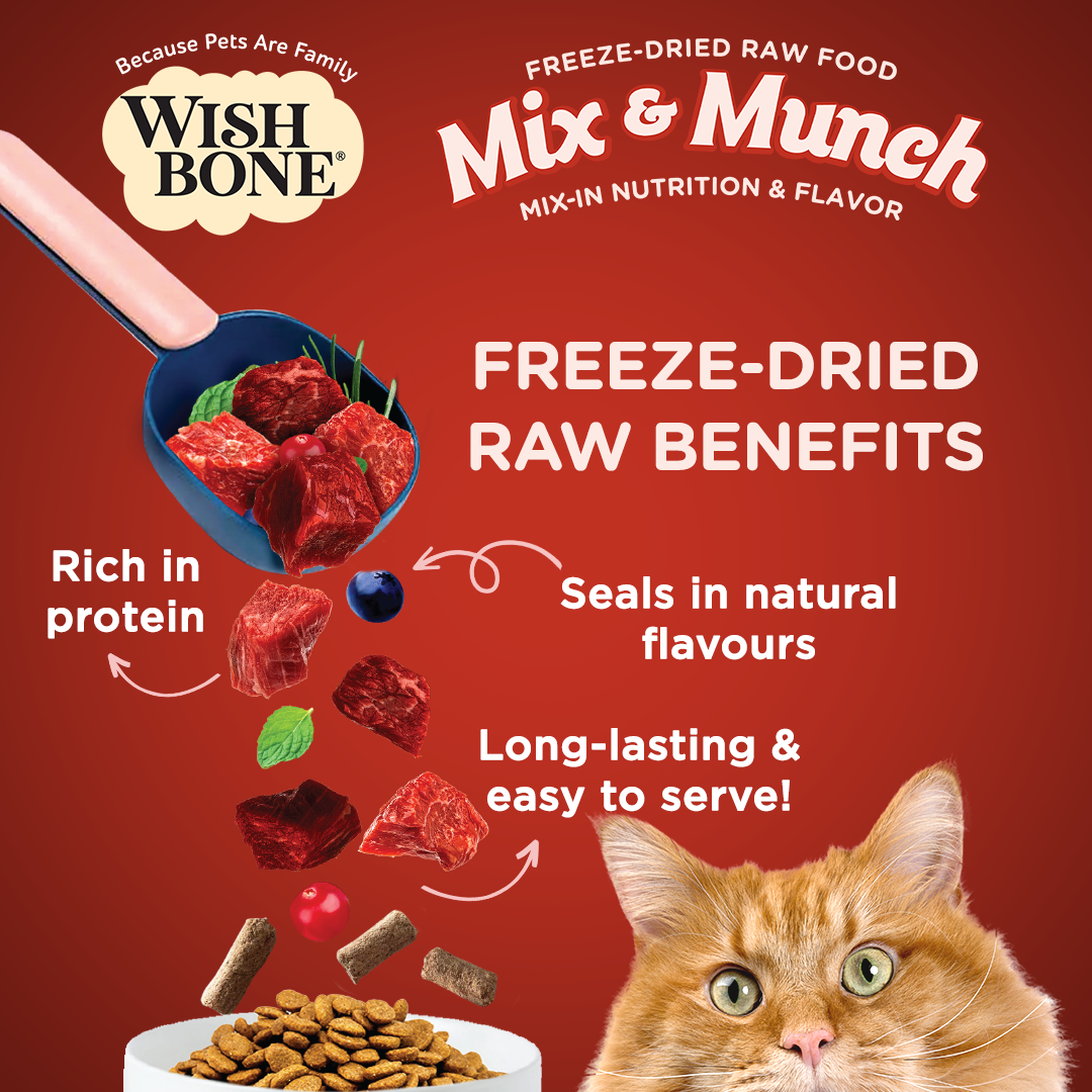 Wishbone Beef & Venison Freeze-Dried Raw Topper for Cats - 350g