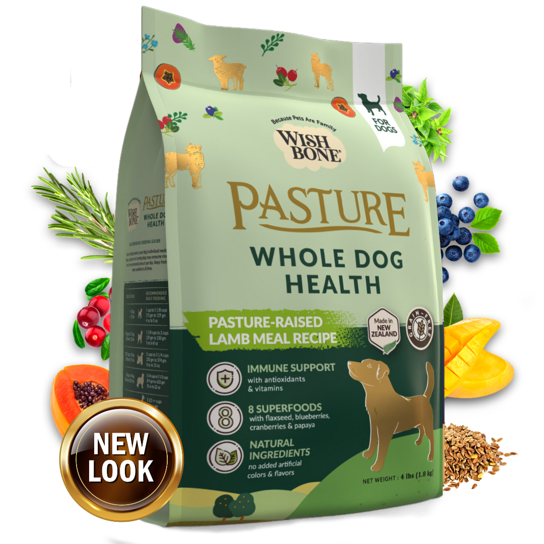 22-best-tasting-dry-dog-foods-palatability-tastiness-for-picky-eaters