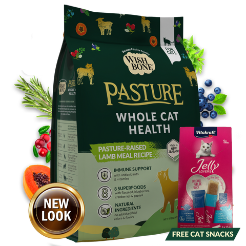 Wishbone Pasture New Zealand Lamb, Gluten Free, Grain Free Dry Cat Food for Overall Pet Health