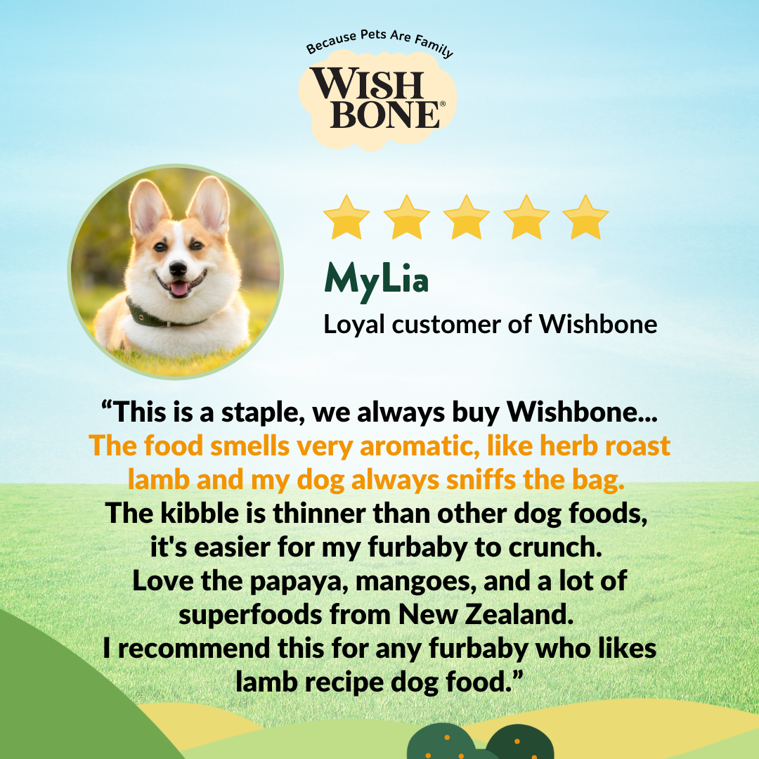 Wishbone Pasture for Dogs - New Zealand Lamb 1.8kg, 9kg