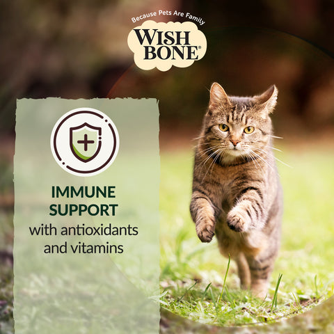 Wishbone Pasture New Zealand Lamb, Gluten Free, Grain Free Dry Cat Food for Overall Pet Health