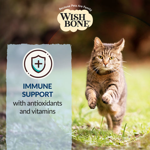 Wishbone Roost New Zealand Chicken, Gluten Free, Grain Free Dry Cat Food for Overall Pet Health