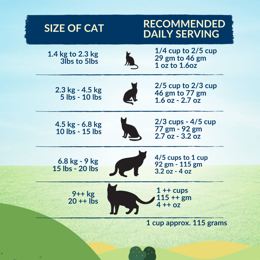 Natural cat food for picky cats