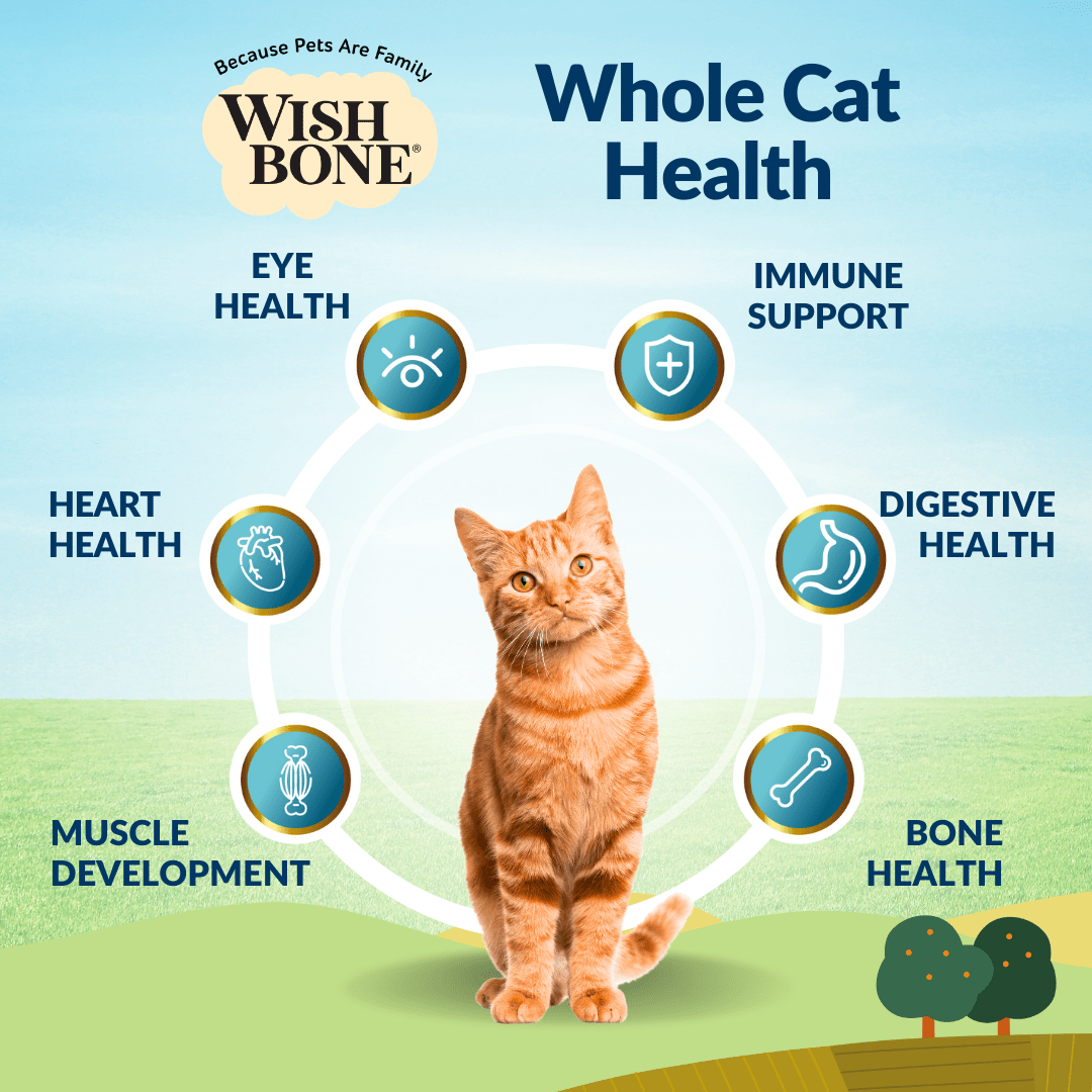 Wishbone cat starter kit free shipping