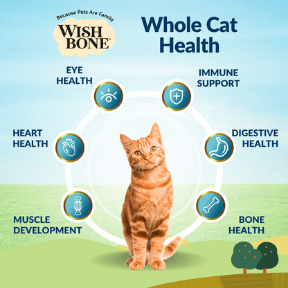 Wishbone cat starter kit free shipping