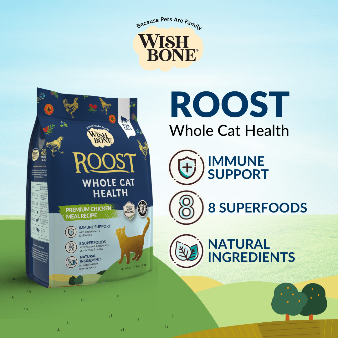 New Zealand chicken cat food by Wishbone