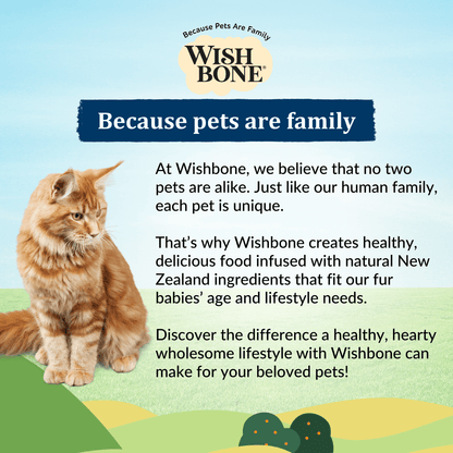 Healthy chicken recipe for cats