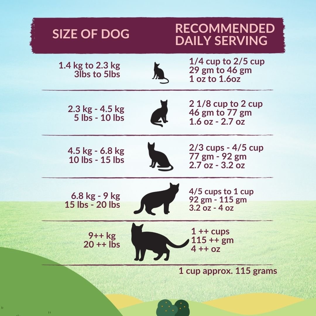 [Cat Trial Pack] Wishbone Graze New Zealand Beef and Lamb Dry Cat Food - Wishbone Pet Foods NZ