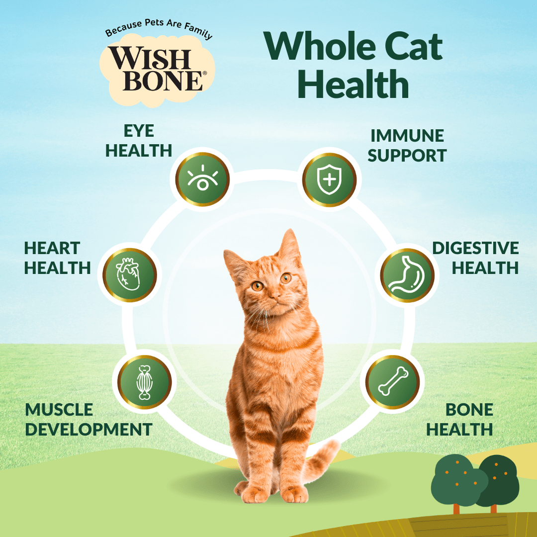 [Cat Trial Pack] Wishbone Pasture New Zealand Lamb Dry Cat Food - Wishbone Pet Foods NZ