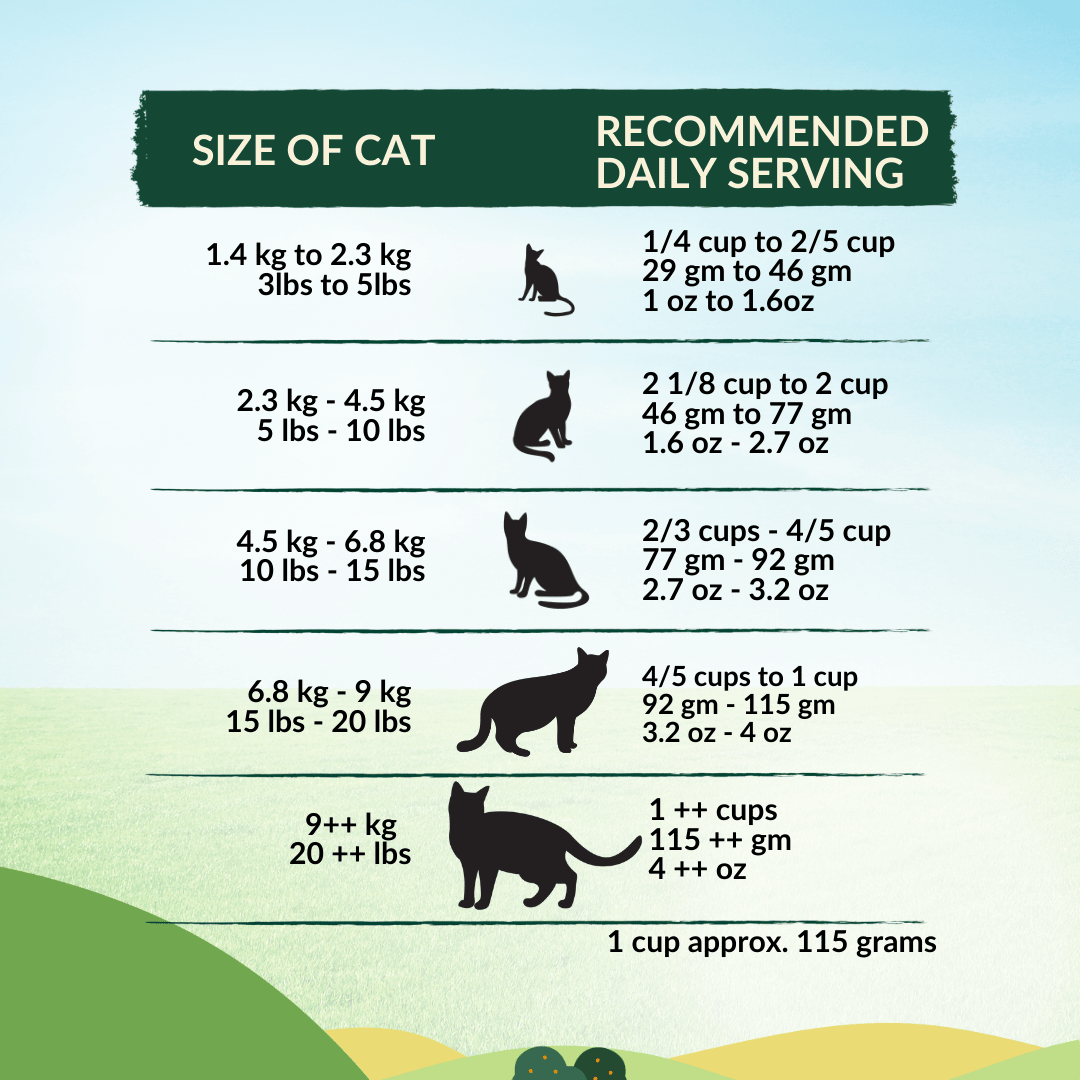 [Cat Trial Pack] Wishbone Pasture New Zealand Lamb Dry Cat Food - Wishbone Pet Foods NZ