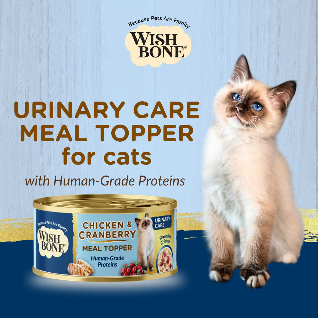 Wishbone Chicken & Cranberry - Cat Urinary Care Topper in Cans - 85g