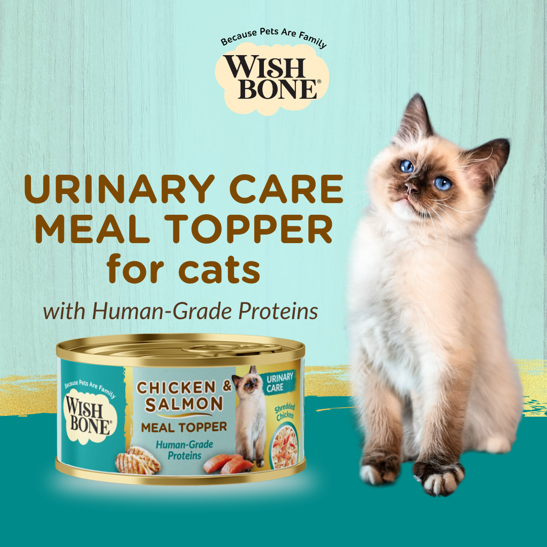 Wishbone Chicken & Salmon - Cat Urinary Care Topper in Cans - 85g