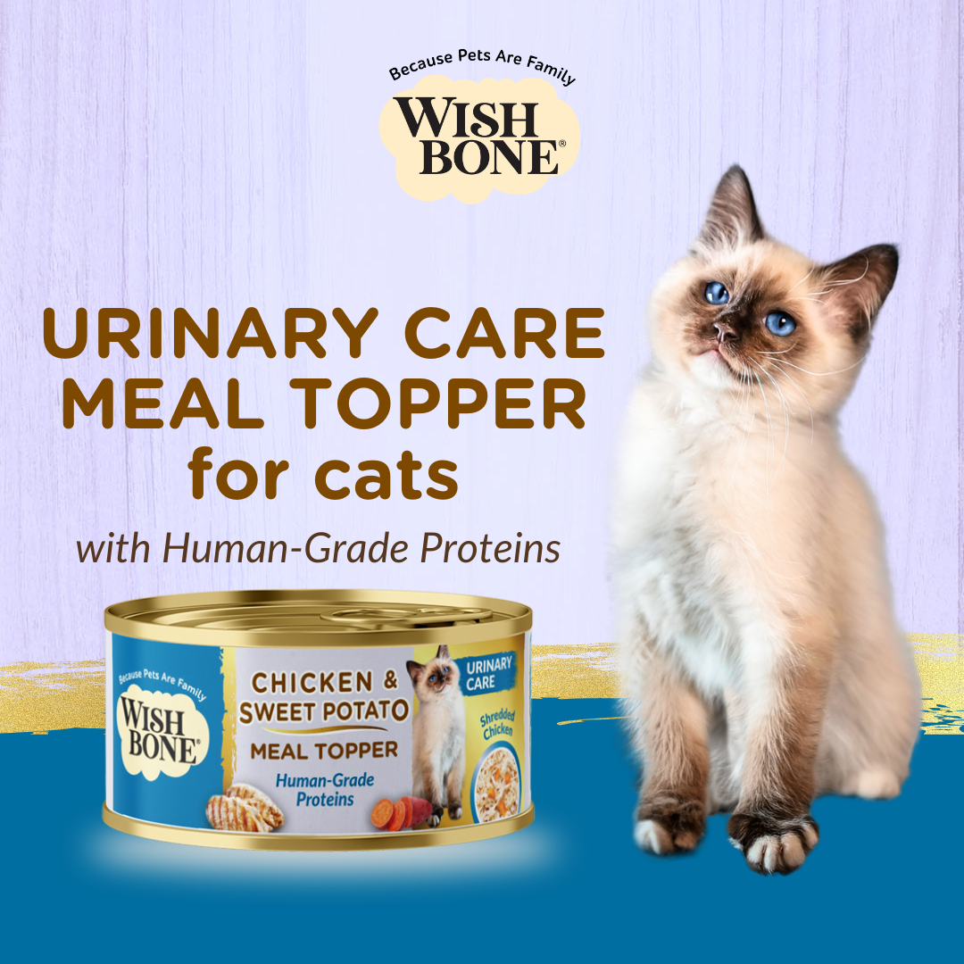 Wishbone Chicken & Sweet Potato - Cat Urinary Care Topper in Cans - 85g