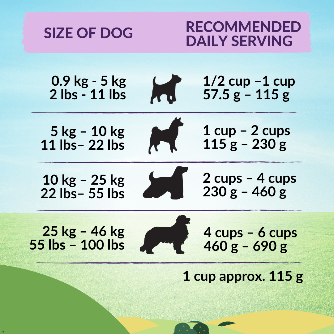 Premium New Zealand dog food