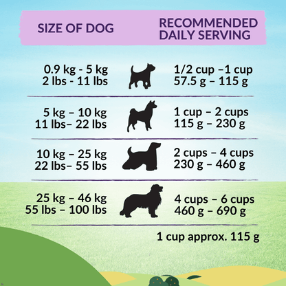 Premium New Zealand dog food