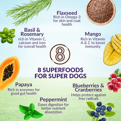 Dog starter kit with free shipping