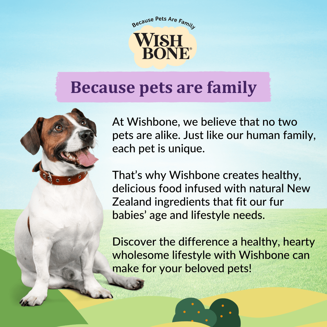 Wishbone Ocean dry dog food bag