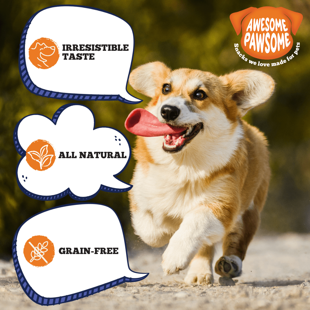 [Dog Treat Bundle of 6] Awesome Pawsome All Natural Dog Treats 85g - Wishbone Pet Foods NZ