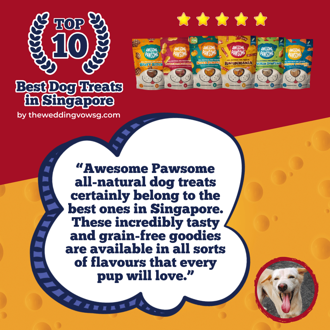 [Dog Treat Bundle of 6] Awesome Pawsome All Natural Dog Treats 85g - Wishbone Pet Foods NZ
