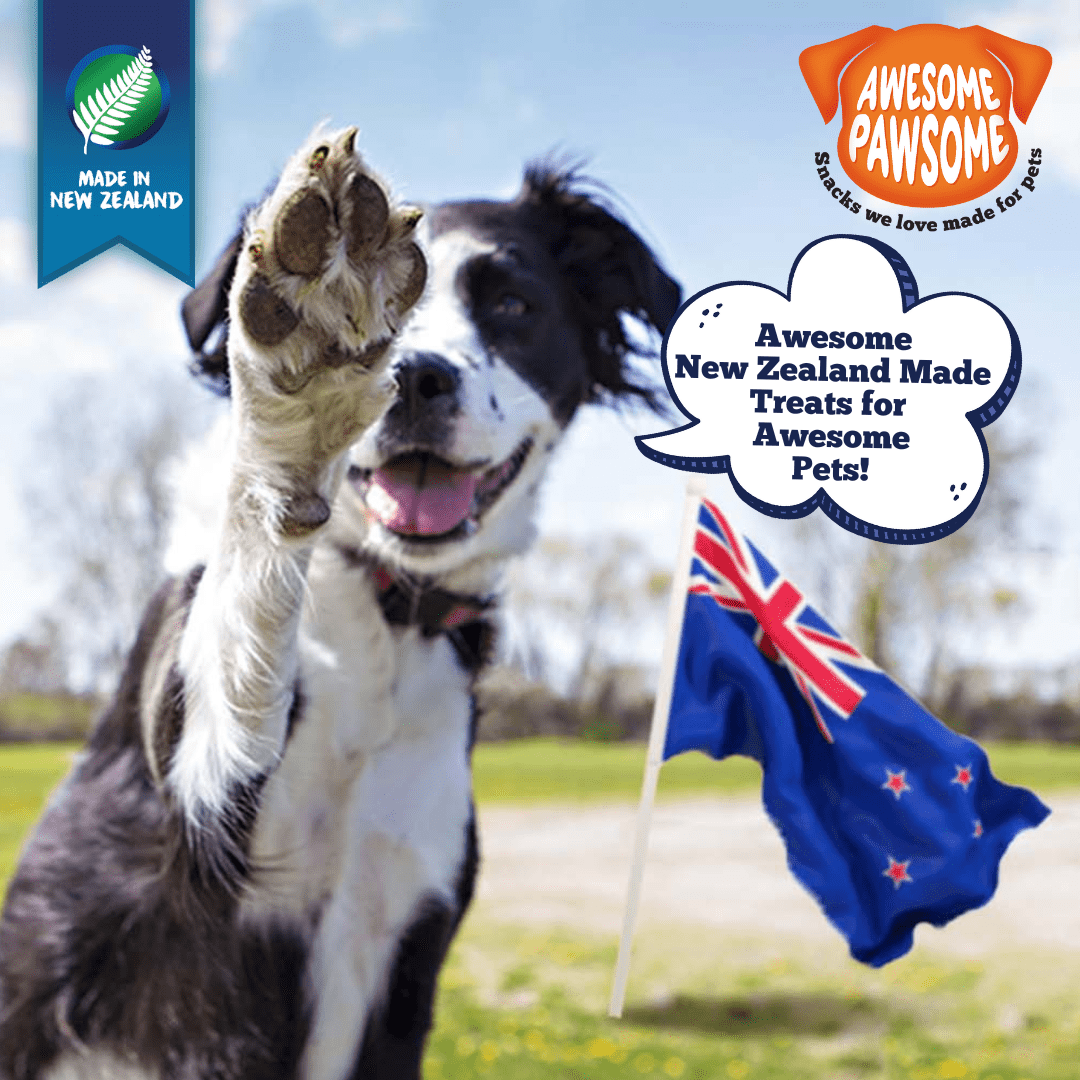[Dog Treat Bundle of 6] Awesome Pawsome All Natural Dog Treats 85g - Wishbone Pet Foods NZ