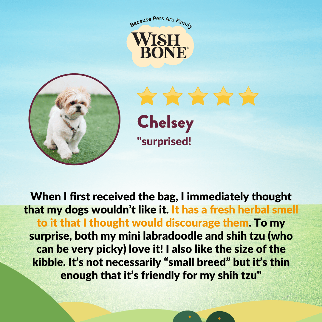 [Dog Trial Pack] Wishbone Graze New Zealand Beef and Lamb Dry Dog Food - Wishbone Pet Foods NZ