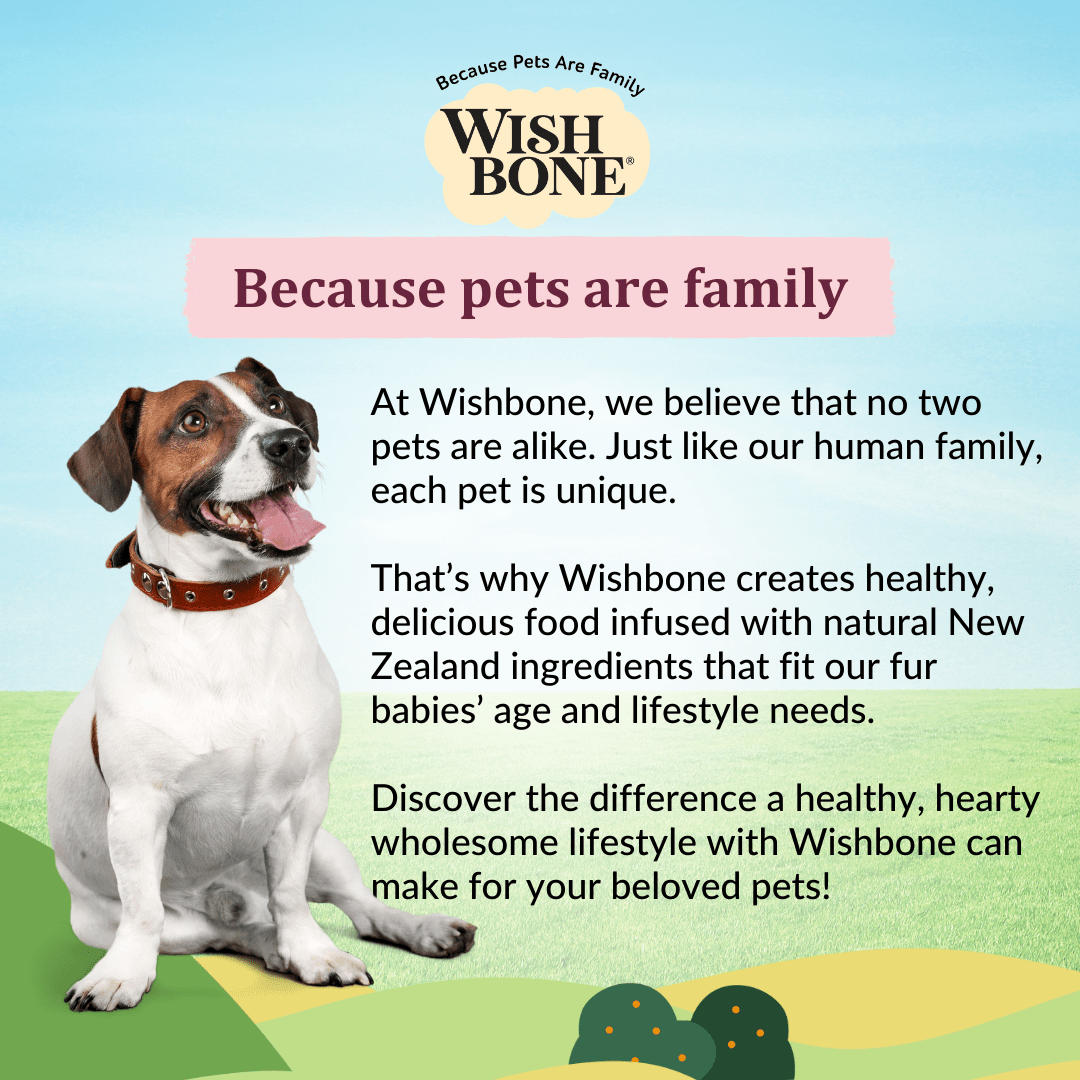 [Dog Trial Pack] Wishbone Graze New Zealand Beef and Lamb Dry Dog Food - Wishbone Pet Foods NZ