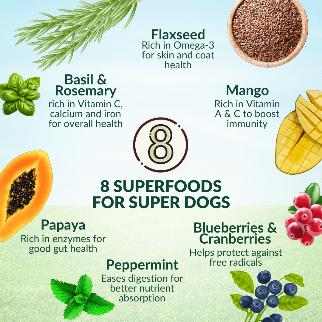 [Dog Trial Pack] Wishbone Ocean New Zealand King Salmon Dry Dog Food - Wishbone Pet Foods NZ