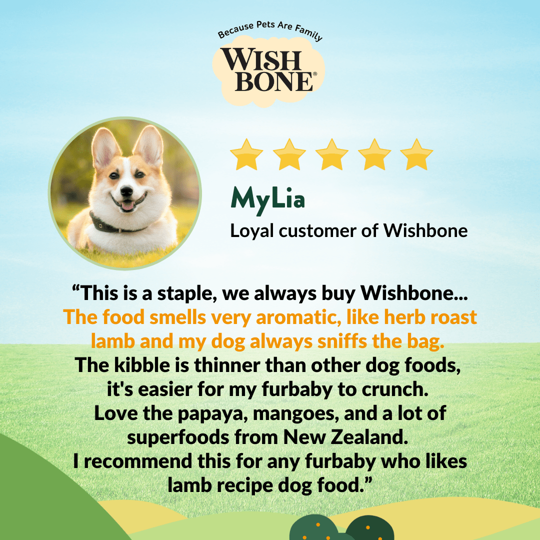 [Dog Trial Pack] Wishbone Pasture New Zealand Lamb Dry Dog Food - Wishbone Pet Foods NZ