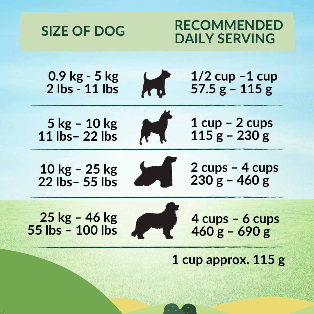 [Dog Trial Pack] Wishbone Pasture New Zealand Lamb Dry Dog Food - Wishbone Pet Foods NZ