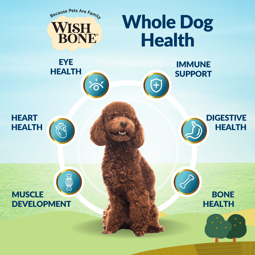 [Dog Trial Pack] Wishbone Roost New Zealand Chicken Dry Dog Food - Wishbone Pet Foods NZ