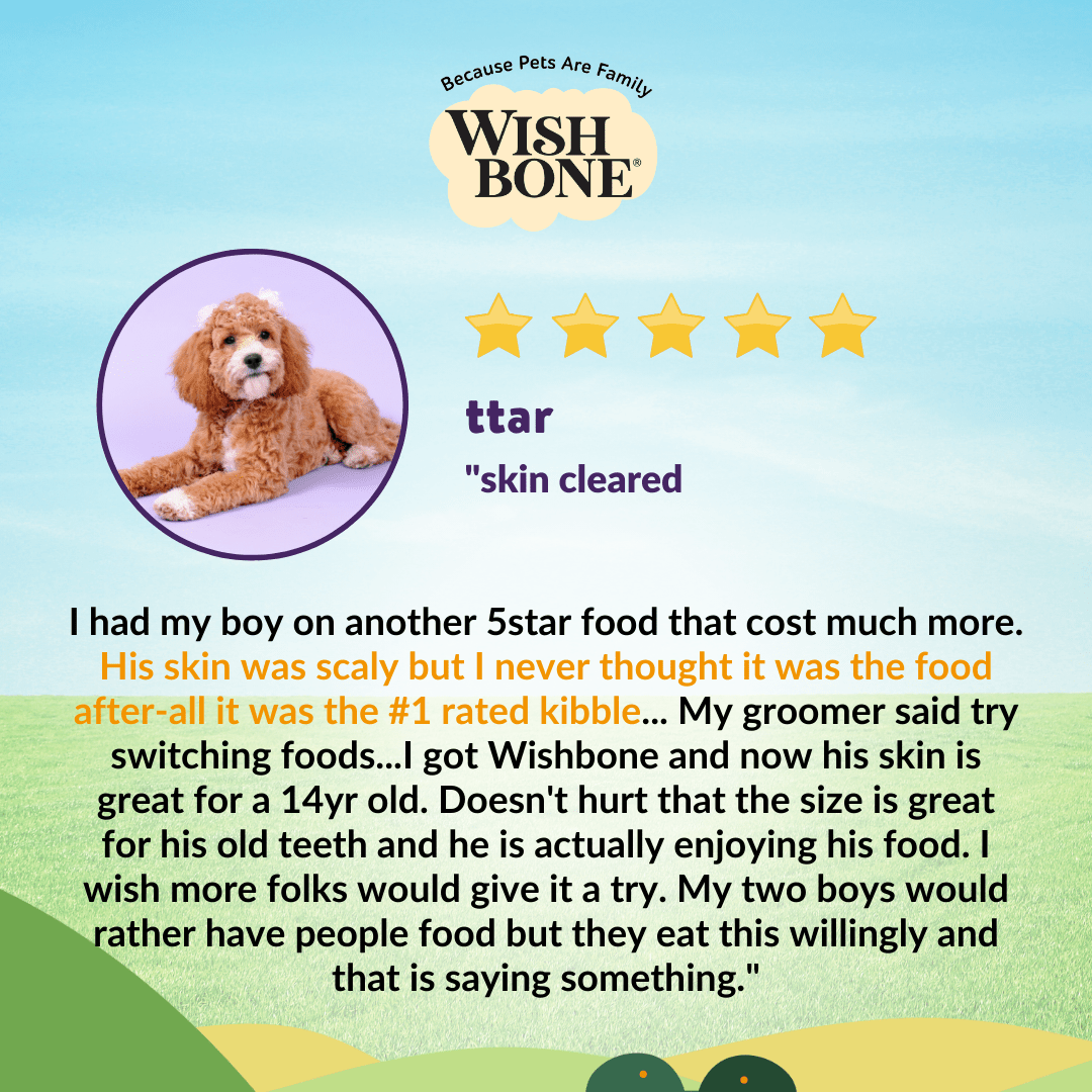 [Dog Trial Pack] Wishbone Roost New Zealand Chicken Dry Dog Food - Wishbone Pet Foods NZ