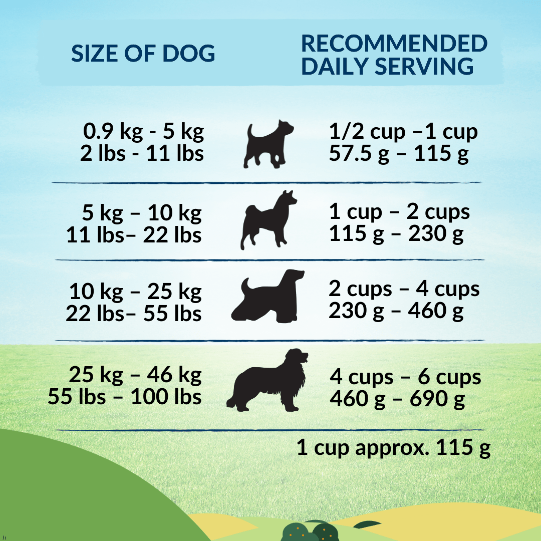 [Dog Trial Pack] Wishbone Roost New Zealand Chicken Dry Dog Food - Wishbone Pet Foods NZ
